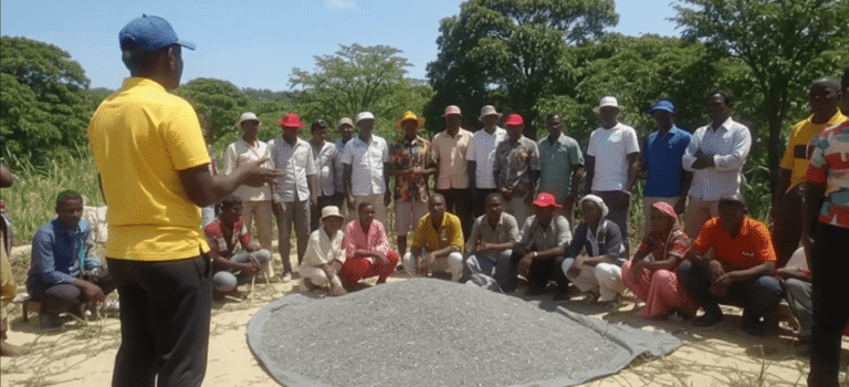 Kore Peyizan: Supporting the Farmer